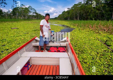 7. März 2008, Belen, Peru: Amazonasexpedition mit dem Boot entlang des Amazonasflusses bei Iquitos, Loreto, Peru. Auf einem der Zuflüsse des Amazonas nach Iquitos, etwa 40 km in der Nähe der Stadt Indiana. (Bild: © Sergi Reboredo/ZUMA Press Wire) Stockfoto