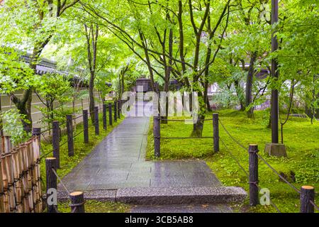 Ein friedlicher Pfad durch einen lebendigen japanischen Garten im buddhistischen Tempel Eikandō, umgeben von üppigen grünen Bäumen, Kyoto, Japan Stockfoto