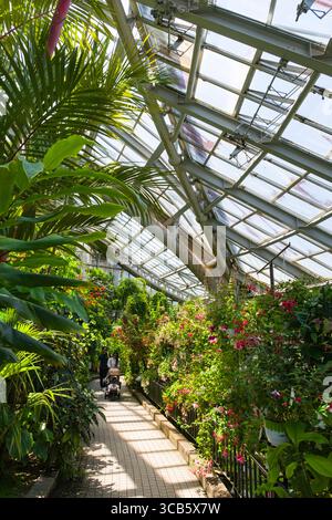 Eine Familie genießt einen friedlichen Spaziergang entlang eines sonnendurchfluteten Weges im Gewächshaus des botanischen Gartens von Kyoto. Umgeben von tropischen Pflanzen und Blumen, Stockfoto
