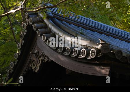 Ein kunstvolles japanisches Dach im japanischen Zen-Buddhistischen Tempel von Enkōji, umgeben von üppig grünen Blättern, die kulturelle Schönheit einfangen, Kyoto, Japan Stockfoto