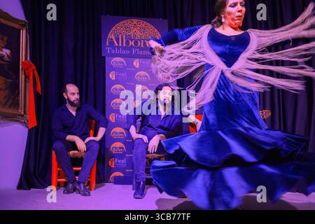 1. November 2019, Spanien: Alborea traditioneller Flamenco-Tablao-Tänzer mit Musioc im Stadtzentrum von Granada Andalusien Spanien... jeden Tag tanzen und singen ein Sänger, ein Gitarrist und zwei Tänzer männlich und weiblich unter unseren Künstlern, viele von ihnen gehören zu berühmten Sacromonte Zigeunerfamilien und mit einer langen und ausgezeichneten Flamenco-Karriere dahinter, und singen populäre Lieder für eine Stunde, wobei eine Tour durch die verschiedenen Stile des Flamenco gezeigt wird. Eine Gruppe von vier Flamenco-Künstlern aus Andalusien Spanien, Eine Tänzerin mit Fischschwanz-Kleid, bata de Cola, eine Sängerin, ein Gitarrist und ein Handklatscher, die alle live in auftreten Stockfoto