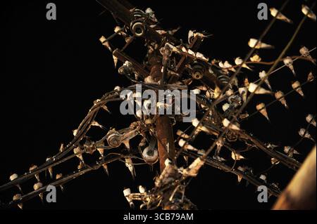 7. Oktober 2023, Yogyakarta, Yogyakarta, Indonesien: Tausende von asiatischen Schwalbenschwänzen [Hirundo rustica] sitzen am 7,2023. Oktober auf städtischen Stromleitungen und Reklametafeln, um nachts in Yogyakarta auszuruhen. Dieser Vogel mit einer kleinen Körperlänge wandert aus seinen Brutgebieten in Nordamerika und Eurasien. Um extremes Wetter zu vermeiden, fliegen diese Vögel, suchen nach Nahrung und ruhen sich in anderen Gebieten aus. Die Route ist ziemlich lang, beginnend in Mittel- und Südamerika, Südspanien, Marokko, Ägypten, Afrika südlich der Sahara, Nahost, Indien, Indochina, Malaysia, Australien, bis zur Ankunft in Indonesien im September Stockfoto