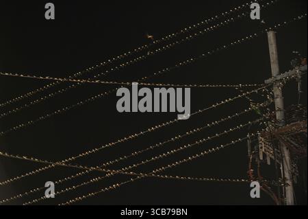 7. Oktober 2023, Yogyakarta, Yogyakarta, Indonesien: Tausende von asiatischen Schwalbenschwänzen [Hirundo rustica] sitzen am 7,2023. Oktober auf städtischen Stromleitungen und Reklametafeln, um nachts in Yogyakarta auszuruhen. Dieser Vogel mit einer kleinen Körperlänge wandert aus seinen Brutgebieten in Nordamerika und Eurasien. Um extremes Wetter zu vermeiden, fliegen diese Vögel, suchen nach Nahrung und ruhen sich in anderen Gebieten aus. Die Route ist ziemlich lang, beginnend in Mittel- und Südamerika, Südspanien, Marokko, Ägypten, Afrika südlich der Sahara, Nahost, Indien, Indochina, Malaysia, Australien, bis zur Ankunft in Indonesien im September Stockfoto