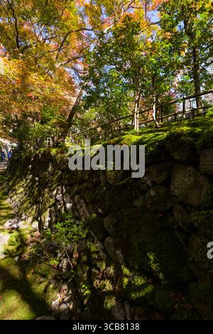 Dieses Bild zeigt einen malerischen Gartenpfad, umgeben von lebhaften Herbstbäumen und üppigen moosbedeckten Steinmauern im buddhistischen Kozan-JI-Tempel Stockfoto