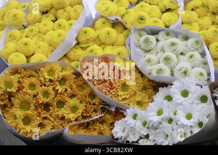 Verschiedene Arten von Blumen, die von Blumenbauern geerntet werden, können am Morgen auf dem Blumenmarkt verkauft werden. Stockfoto