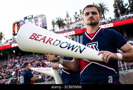 23. September 2023 Palo Alto, CA USA der Arizona Cheerleader hält während des NCAA Football-Spiels zwischen den Arizona Wildcats und dem Stanford Cardinal ein Megaphon mit Nachdruck. Arizona besiegt Stanford 21-20 im Stanford Stadium Palo Alto, CA Thurman James / CSM (Foto: © Thurman James/CSM via ZUMA Press Wire) Stockfoto