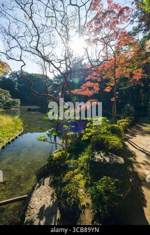 Sonnenlicht zieht durch herbstfarbene Bäume in der Nähe des Heian Shrine Garden Pond. Ein friedlicher Pfad schlängelt sich inmitten natürlicher Schönheit und ruft Ruhe und Entspannung hervor Stockfoto