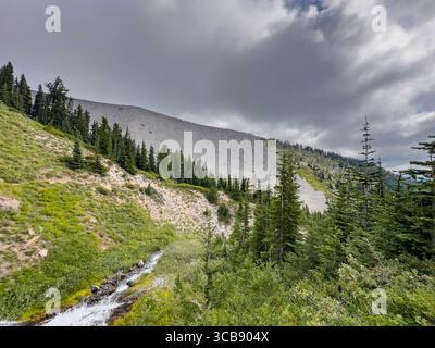 Eine ruhige Bergszene mit üppigen grünen Kiefern entlang des Mount Hood Timberline Trail, einem sanften Bach, der durch das Tal fließt, und einem DRAM Stockfoto