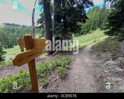 Ein von üppigen Bäumen umgebener Wanderweg mit einem hölzernen Timberline-Schild, das Wegbeschreibungen zur Erkundung anzeigt. Die ruhige Outdoor-Szene erinnert an einen Stockfoto
