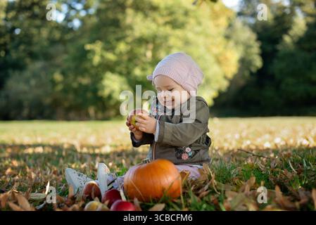Ein Kleinkind, das Apfel hält und im Herbstpark auf dem Gras sitzt. Stockfoto