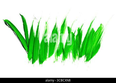 Bunte grüne Pinselstriche wie Grasmuster isoliert auf weißem Hintergrund. Abstrakte Konturen. Bunte Pinselstriche mit Aquarellfarben Stockfoto