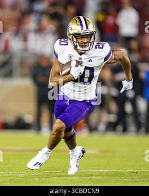 28. Oktober 2023, Stanford, Kalifornien, USA: Washington Huskies Running Back TYBO ROGERS (20) stürmt sich im dritten Quartal beim NCAA-Fußballspiel Washington Huskies gegen Stanford Cardinal im Stanford Stadium um den ersten Rückstand. (Bild: © Jose Moreno/ZUMA Press Wire) Stockfoto