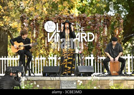 2. November 2023, St. Helena, CA, USA: Jordin Sparks tritt am 2. November 2023 in St. Helena, Kalifornien, während des 2. Tages von Live in the Vineyard auf der Charles Krug Winery auf. (Bild: © Casey Flanigan/imageSPACE via ZUMA Press Wire) Stockfoto