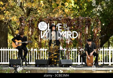 2. November 2023, St. Helena, CA, USA: Jordin Sparks tritt am 2. November 2023 in St. Helena, Kalifornien, während des 2. Tages von Live in the Vineyard auf der Charles Krug Winery auf. (Bild: © Casey Flanigan/imageSPACE via ZUMA Press Wire) Stockfoto