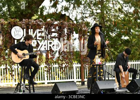 2. November 2023, St. Helena, CA, USA: Jordin Sparks tritt am 2. November 2023 in St. Helena, Kalifornien, während des 2. Tages von Live in the Vineyard auf der Charles Krug Winery auf. (Bild: © Casey Flanigan/imageSPACE via ZUMA Press Wire) Stockfoto