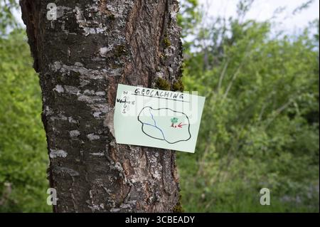 Geocaching, Freizeitaktivitäten im Freien, Navigation zum Verstecken und Suchen von Containern, Geocache-Standort im Wald, Schatzjagd-Spiel, Hinweis auf Baum tr Stockfoto
