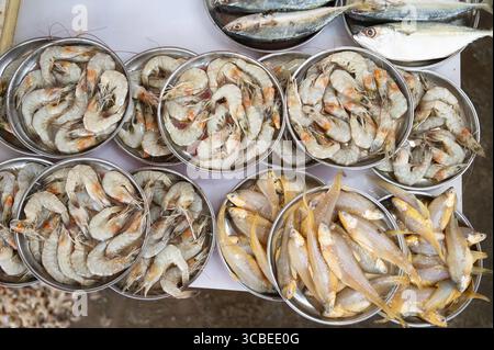 Fischmarkt in Mumbai Indien, Marktstand mit frisch gefangenen Meeresfrüchten, Fischindustrie am Arabischen Meer Stockfoto
