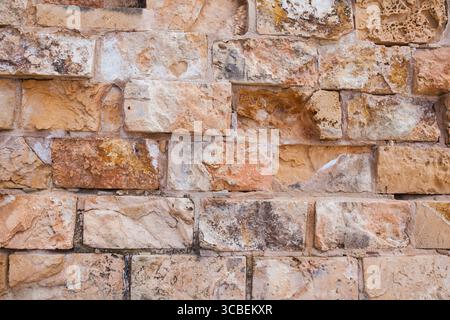 Steinmauer aus natürlichem Muschelstein. Stockfoto