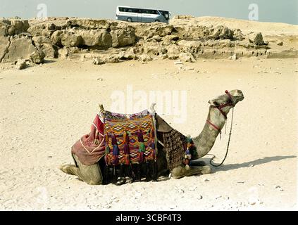 Pyramide von Gizeh Stockfoto