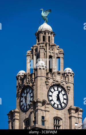 Nahaufnahme des Liver Bird und des Uhrenturms auf dem Royal Liver Building am zum UNESCO-Weltkulturerbe gehörenden Pier Head in Merseyside, England, Großbritannien. Stockfoto