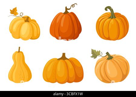 Buntes Herbstkürbisse-Set. Saisonales Erntedesign für Begrüßung oder Poster. Vektorillustration isoliert auf weißem Hintergrund Stock Vektor