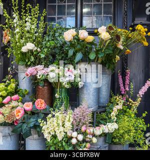 Üppige Blumenarrangements in Eimern neben dem alten Fenster. Quadratischer Rahmen Stockfoto