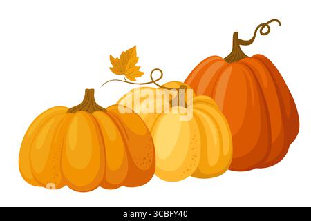 Farbenfrohe Herbstkürbisse. Saisonales Erntedesign für Begrüßung oder Poster. Vektor-Illustration isoliert auf weißem Hintergrund Stock Vektor
