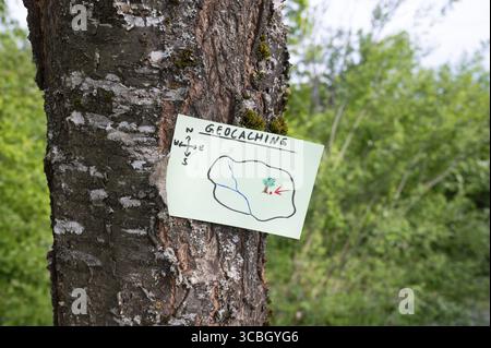 Geocaching, Freizeitaktivitäten im Freien, Navigation zum Verstecken und Suchen von Containern, Geocache-Standort im Wald, Schatzjagd-Spiel, Hinweis auf Baum tr Stockfoto