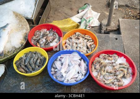 Fischvielfalt auf dem Markt in Kochi Indien, Verkaufsstand mit frisch gefangenen Meeresfrüchten, Fischindustrie am Arabischen Meer Stockfoto