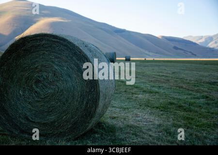 Heuballen auf den Feldern, zwischen den Bergen, mit einer Klinge des Sonnenuntergangs im Hintergrund, Castelluccio di Norcia, Sibillini-Berge, Umbrien, Ita Stockfoto