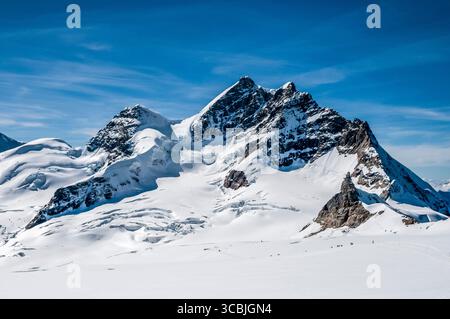 Das Bild zeigt den 4152 m hohen Berg Jungfrau vom Kopf des Aletschgletschers aus mit Blick auf das Jungfraujoch und die Aussichtsplattform Sphinx, das Besucherzentrum Top of Europe und den malerischen Bahnhof Jungfraujoch auf der rechten Seite und den 3695 m hohen Satellitengipfel Silverhorn auf der linken Seite, in der Nähe der Kurstadt Grindelwald in den Schweizer Alpen Stockfoto