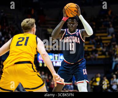 9. Februar 2023 Berkeley, CA USA Arizona Center Oumar Ballo (11) kämpft um die Position in der Farbe während des NCAA Men's Basketball Spiels zwischen Arizona Wildcats und den California Golden Bears. Arizona schlug Kalifornien 85-62 im Haas Pavilion Berkeley Kalifornien Thurman James/CSM (Foto: © Thurman James/CSM via ZUMA Press Wire) Stockfoto
