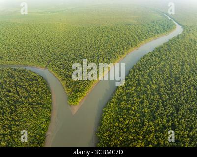 Aus der Vogelperspektive auf den sich windenden Fluss, der sich durch einen dichten, grünen Wald schlängelt, dessen Wasser den Himmel reflektiert, Sundarban, Khulna Division, Bangladesch. Stockfoto