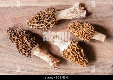 Vier Morchella-Pilze auf einem Holzschneidebrett Stockfoto