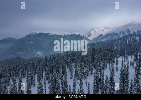 Aus der Vogelperspektive der schneebedeckten Kiefern stehen hoch vor der Kulisse des majestätischen, schneebedeckten Himalaya, einem Winterwunderland in weiß- und Grautönen, Gulmarg, Jammu und Kaschmir, Indien. Stockfoto