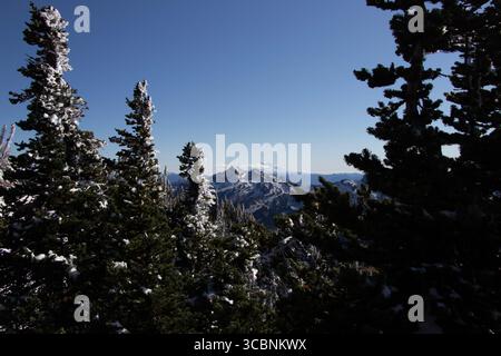 Bergblick vom Wanderweg auf Mount Rainier Stockfoto