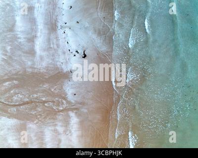 Aus der Vogelperspektive auf einen Sandstrand, Frankreich, Bretagne, Cotes d Armor Stockfoto