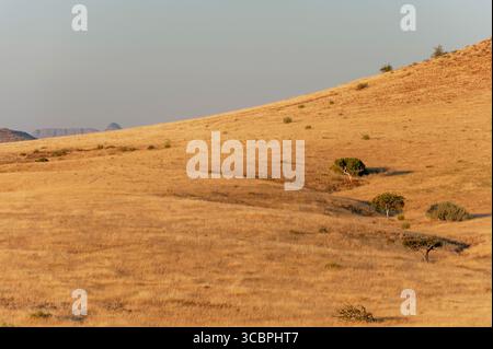 Ausgedehnte hügelige Grünflächen im Torra Naturschutzgebiet, Namibia, Damaraland, Kunene Stockfoto