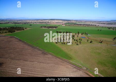 Ackerland auf der liverpool Plains im Norden nsw Stockfoto