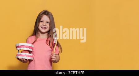 Ein glückliches Mädchen hält eine Zahnbürste und einen großen Kiefer in den Händen. Eine isolierte Panoramaaufnahme. Ein Ort für Ihre SMS. Kariesprophylaxe im Kindesalter. Stockfoto