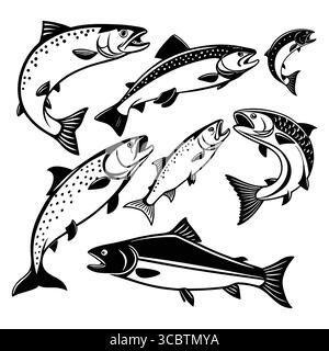 Set mit verschiedenen stilisierten Atlantischen Lachsfischen Illustrationen in Schwarz-weiß-Design Stock Vektor