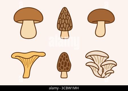 Warme, erdige Illustration von essbaren Waldpilzen, Boletus, Honigwaben-Morcheln, goldenen Pfifferlingen und weichen Austernkappen. Stock Vektor