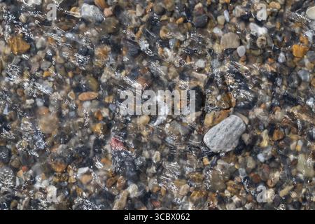 Farbenfrohe, glatte Kieselsteine unter einer klaren Wasseroberfläche, Nordsee, Dänemark Stockfoto