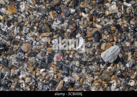 Farbenfrohe, glatte Kieselsteine unter einer klaren Wasseroberfläche, Nordsee, Dänemark Stockfoto