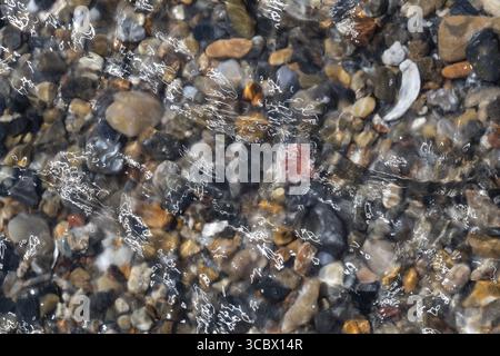 Farbenfrohe, glatte Kieselsteine unter einer klaren Wasseroberfläche, Nordsee, Dänemark Stockfoto