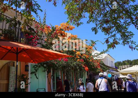 Blick auf das beliebte Dorf Fiscardo in Kefalonia, Griechenland Stockfoto