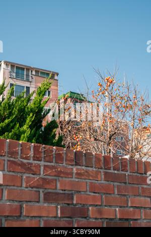 Bukchon Hanok Village Herbststraße in Seoul, Korea Stockfoto