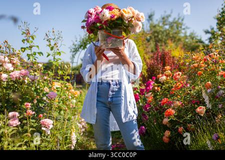 Glückliche Frau, die sich hinter einem Eimer voller frischer Rosen versteckt, die im Sommergarten gepflückt werden. Blumenbauer, der englische Rosen für Sträuße anbaut Stockfoto