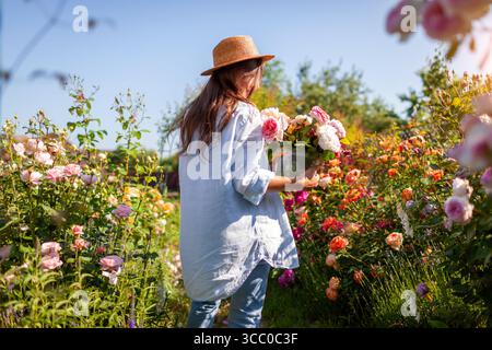 Junger Gärtner pflückt Rosen im Sommergarten zum Blumenstrauß. Die Frau hält einen Eimer mit frischen Blumen, umgeben von Blüten Stockfoto