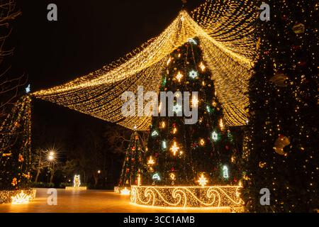 Leuchtende Weihnachtsbäume mit festlichen Lichtern und Ornamenten schaffen eine magische Weihnachtsszene. Stockfoto